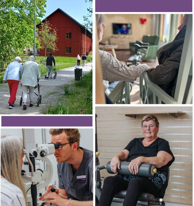 Collage av bilder, äldre på promenad, som håller hand, man som tittar i ett instrument, kvinna i en benpress