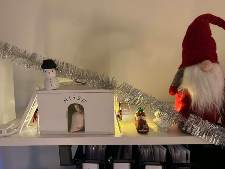 Nissen har flyttat in på mottagningen och bor på en hylla hos oss