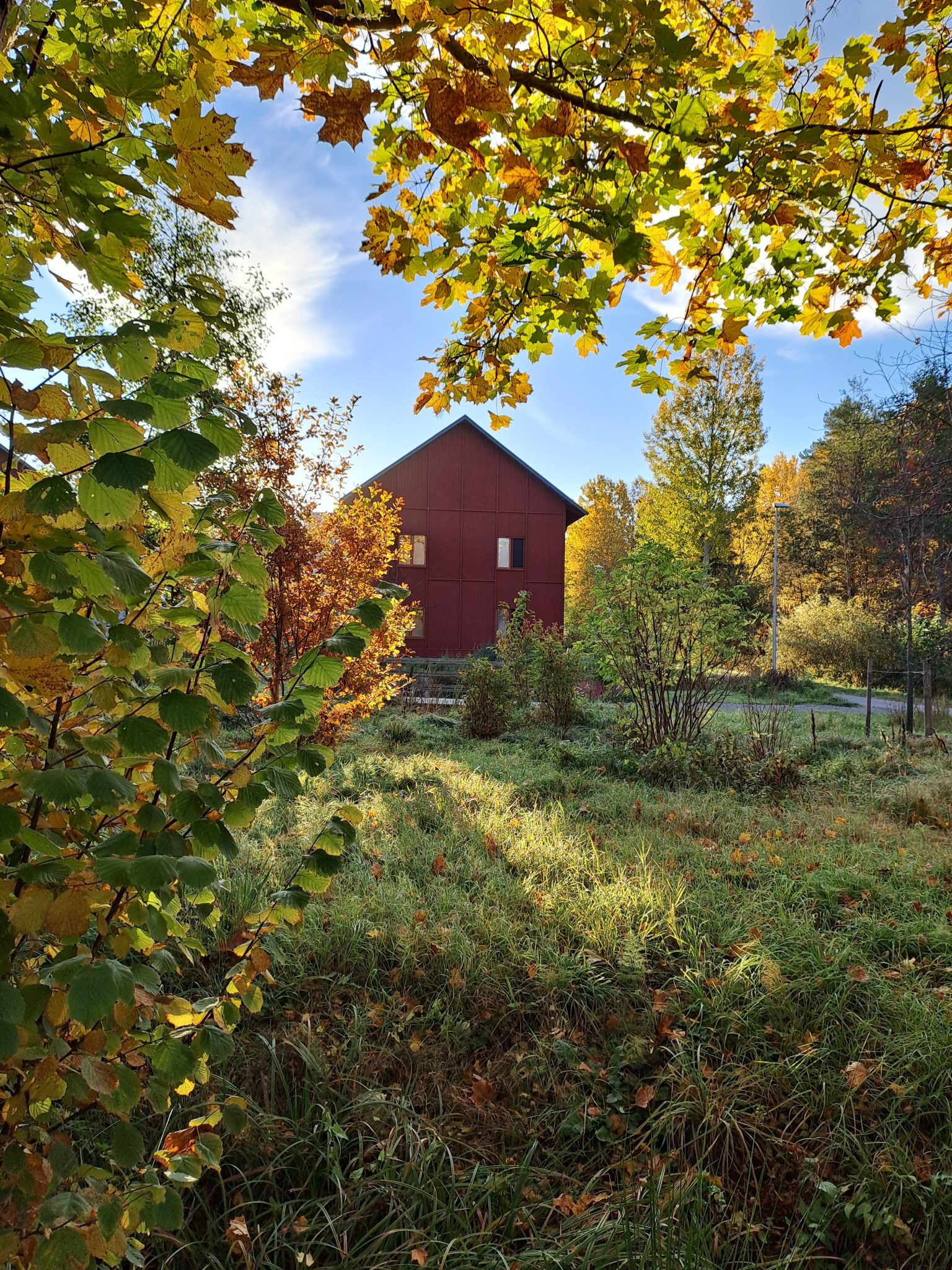 Rött hus som är en av husen till äldreboendet Pilhamns gårdar, i förgrunden träd i höst färger