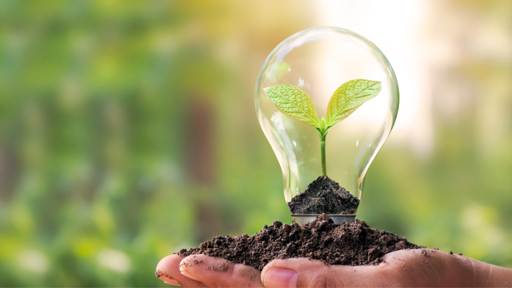 Bild på hand som håller en glödlampa med en spriande växt i.