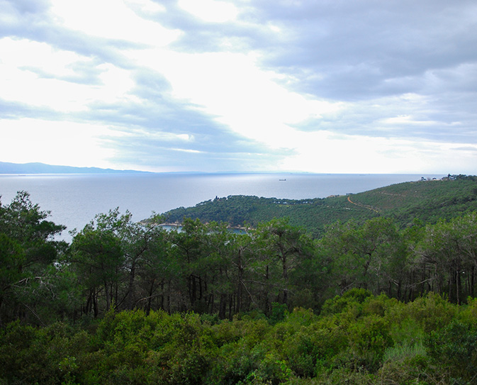 Foto på skog och hav som symboliserar den existentiella ensamheten genom livet