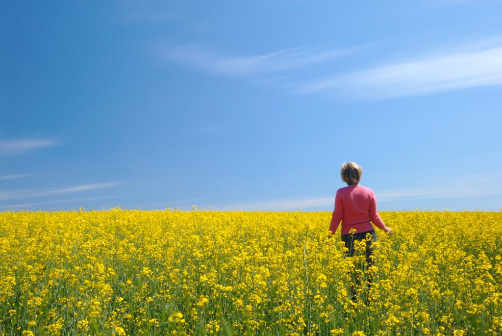 Äldre kvinna ståendes i ett blommande rapsfält och blickandes ut.